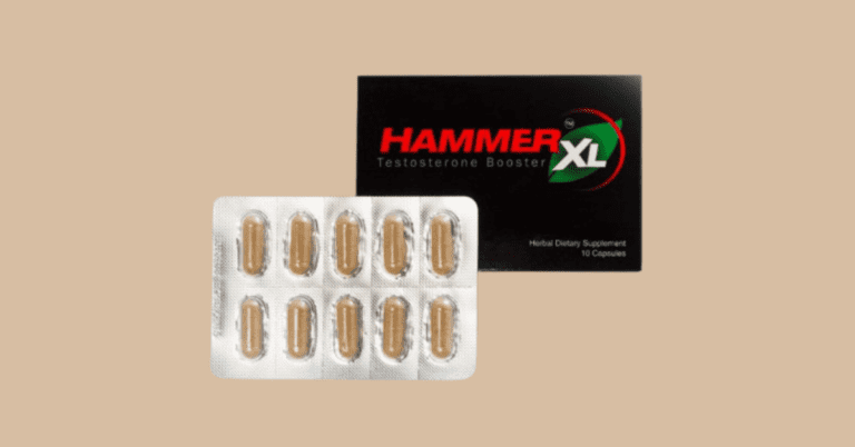 Hammer XL Review