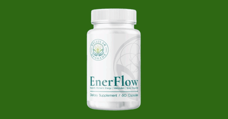 EnerFlow Review