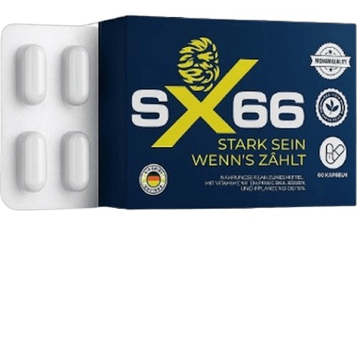 SX66