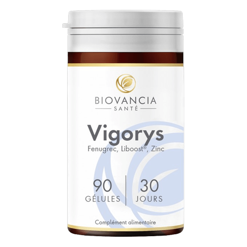 Vigorys