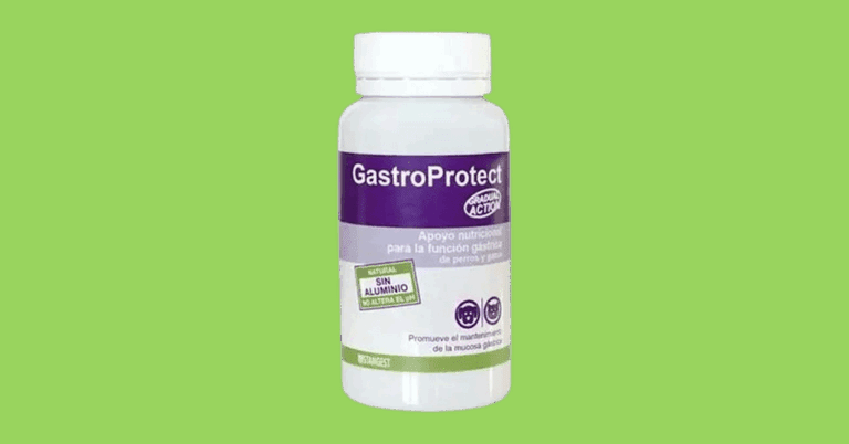 Gastro Protect Reviews