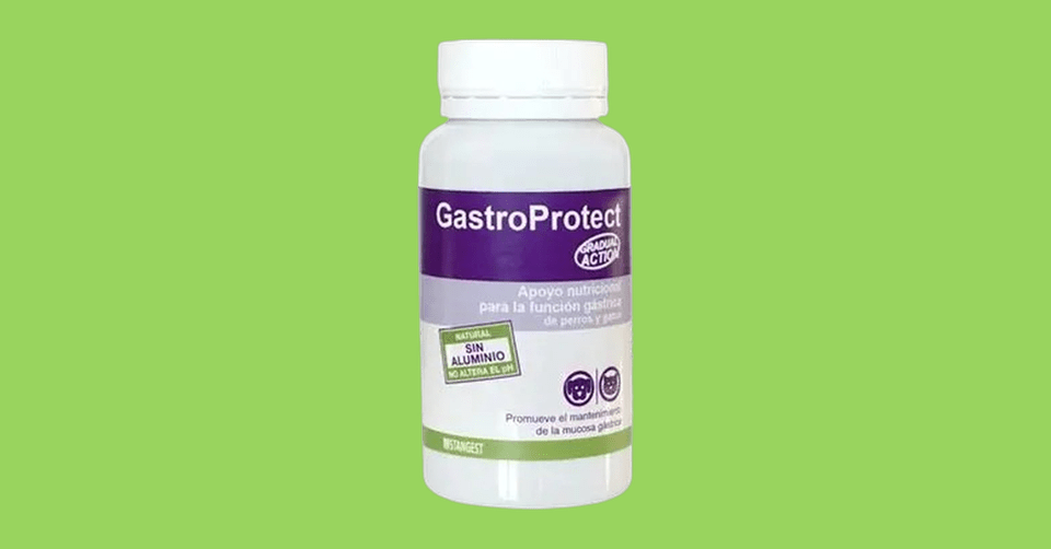 Gastro Protect Reviews