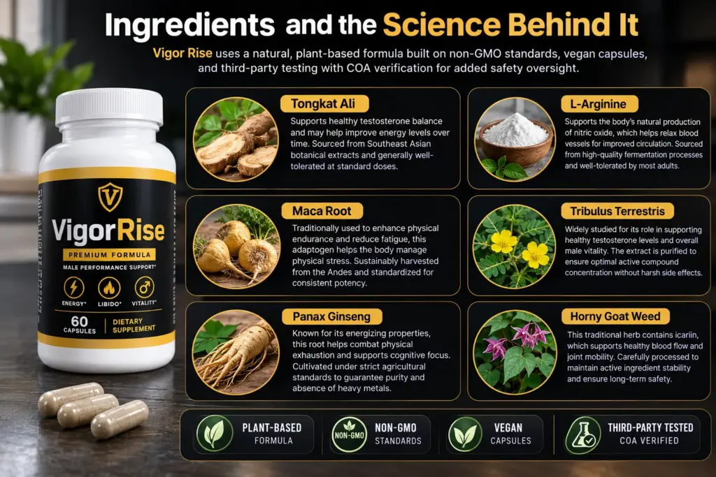 Vigor Rise ingredients