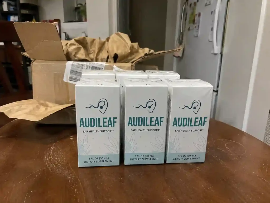 AudiLeaf Customer Reports 1 1024x768