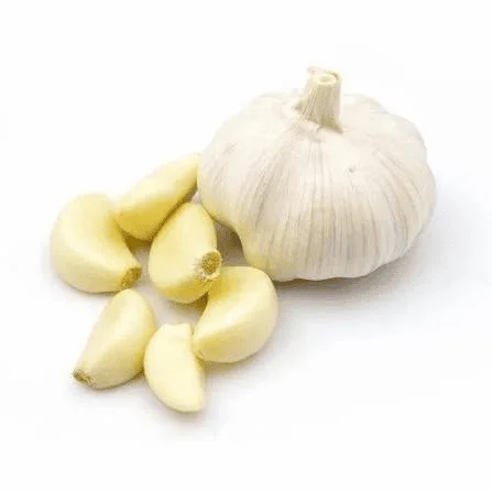 Himalayan garlic
