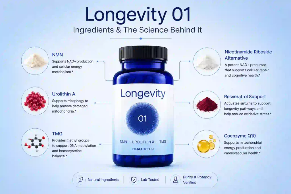 Longevity 01 Ingredients