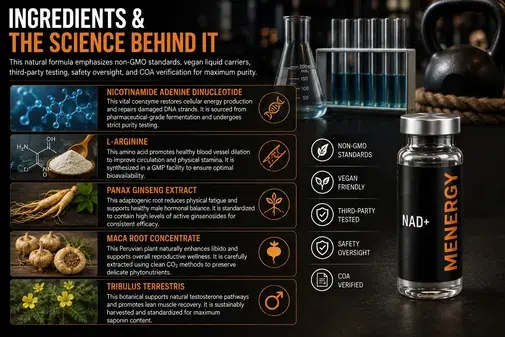 Menergy ingredients infographic