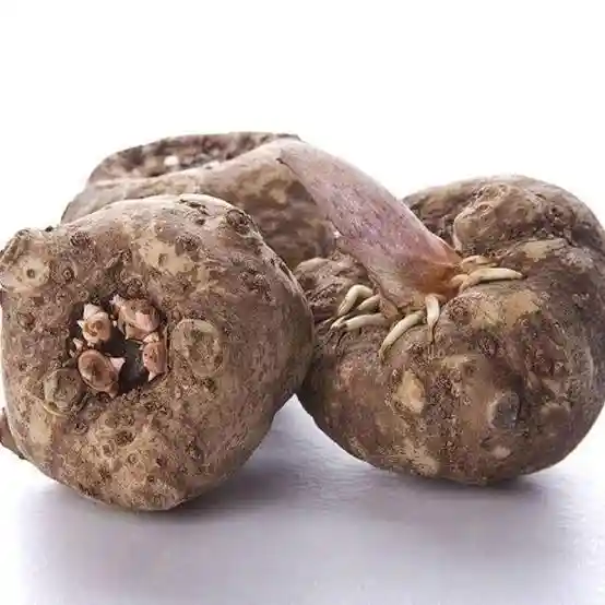 Konjac Glucomannan