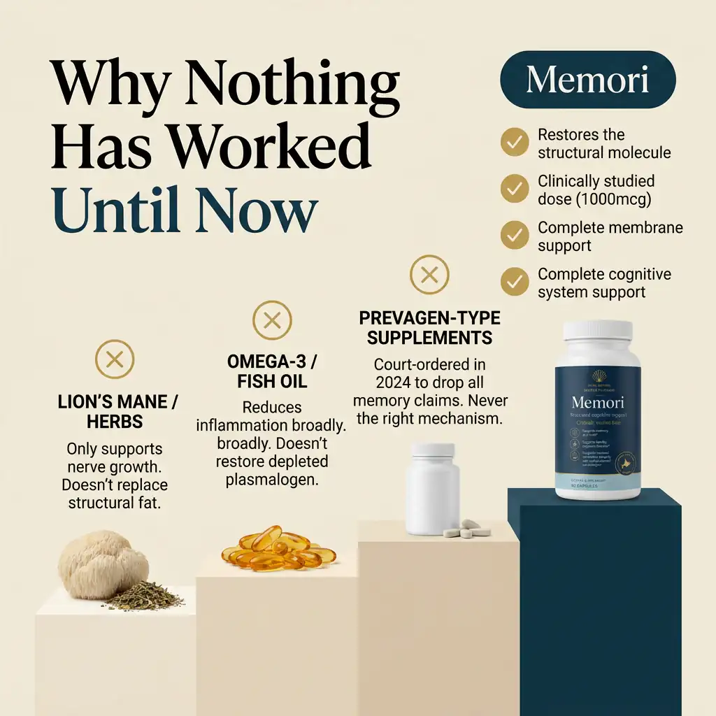 Memori mind reviews