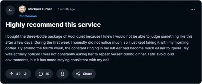 audiquiet user review